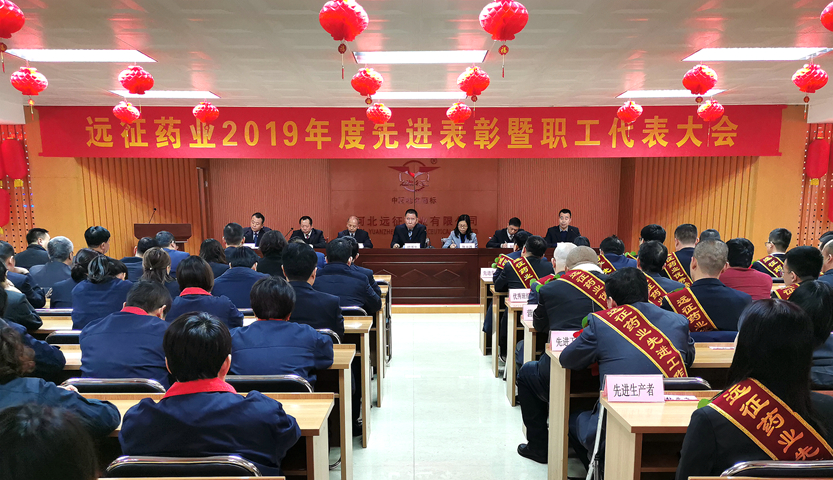 揚楷模鼓舞士氣 展藍圖干勁十足